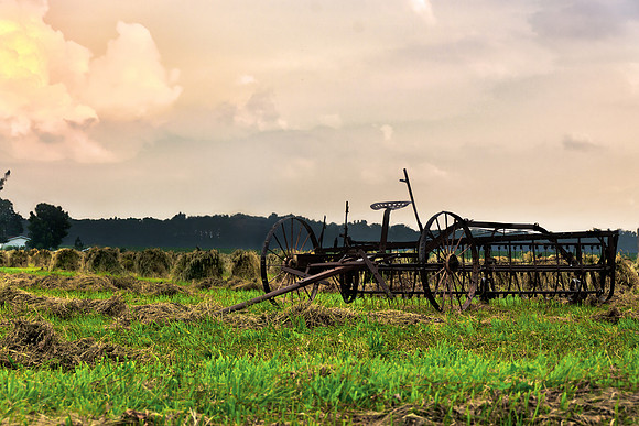 Harvest Time