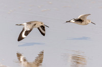 Merritt Island NWR