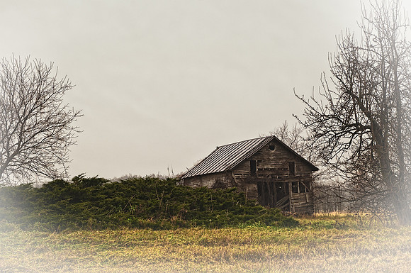 Homestead