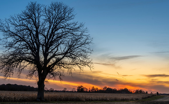 Sunset At Harvest 8